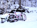 Unseren Winterdienst können Sie auf Wunsch auch für Ihr Dach oder zur Rettung der Fahrräder in Anspruch nehmen.